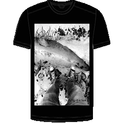 T-Shirt picture